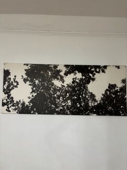 Long painting black and white