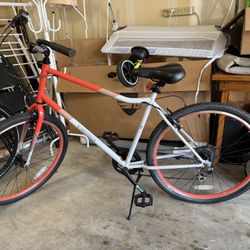 Guardian Adult 20 Inch Bike 