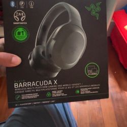 Razer Headset 