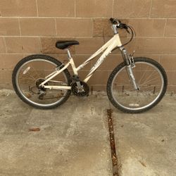Giant Boulder SE 