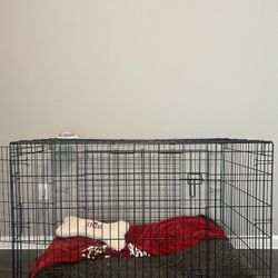 Dog Cage