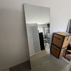 CB2 Infinity Modern Silver Full-Length Floor Mirror (32" x 76")