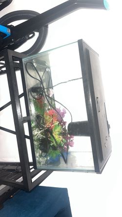 Fish tank and stand