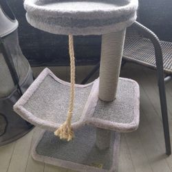 2 cat post scratch climbing