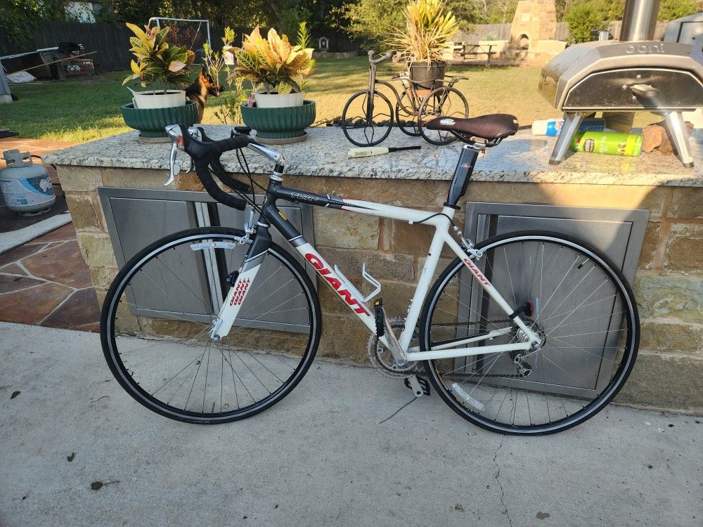 Giant Medium Size Road Bicycle  Great Shape