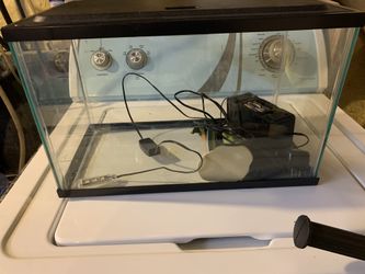 5 gallon tank