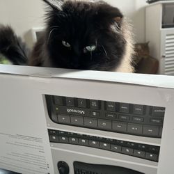 Ergonomic Wireless Keyboard and Mouse Bundle - Black