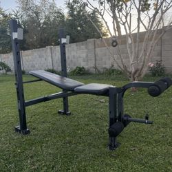 Bench Press with Weights!