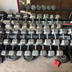 Dumbbells Cast iron. 