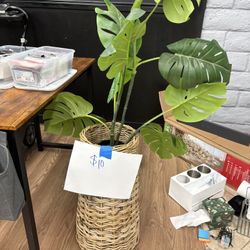 Artificial Plant And Basket 