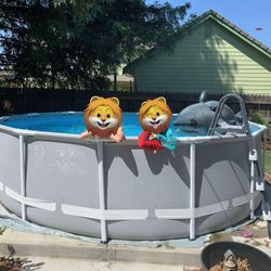 Above Ground Pool And Accessories 