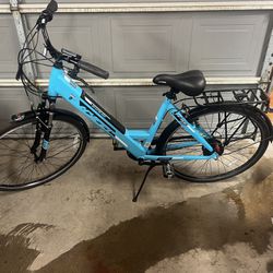 Electric Assist, Bicycle And Charger