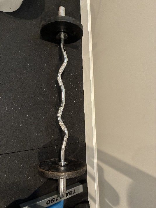 Curl Bar With 4 -22lb Weight Plates