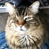 Tammy