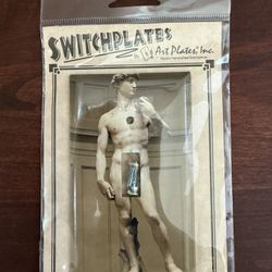Statue Of David Switch Plate By Art Plates Inc