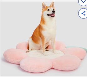 Flora Bolster Cat & Dig Bed - Vetreska