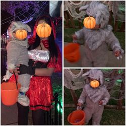 Big Bad Wolf Costume 