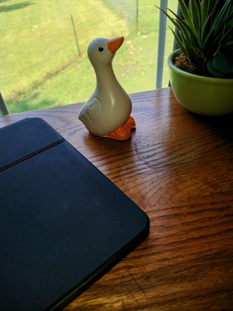 Desk Goose