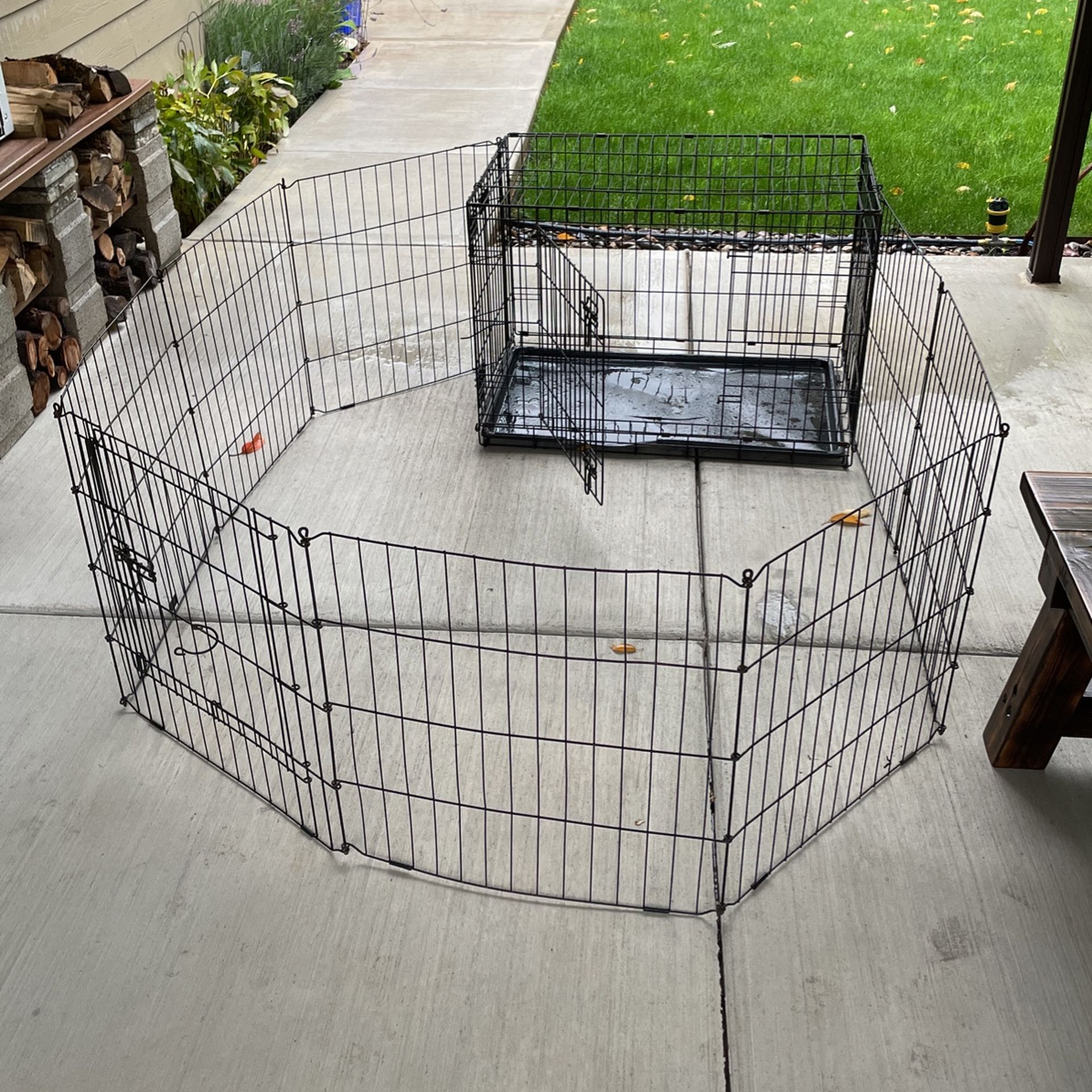 Dog Kennel And Run