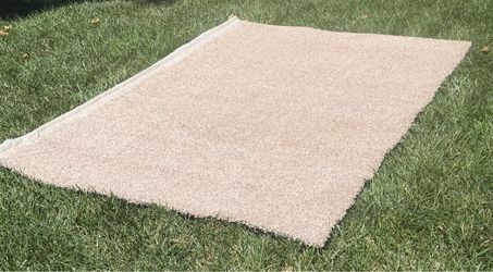 Beige/Taupe Carpet Remnant – 51” x 74”