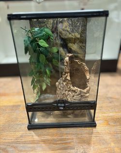 Exo-Terra Glass Terrarium, 12" L X 12" W X 18" H