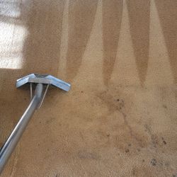 Steam Carpet Cleaner 