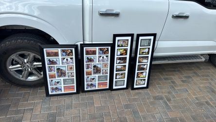Brand New Picture Frame. 4 Total 