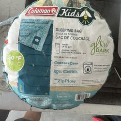 Sleeping Bag 