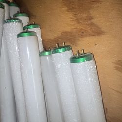 Philips Light Bulbs & Lighting 