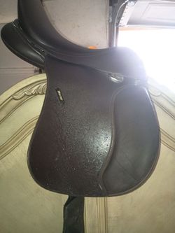 16.5in English saddle