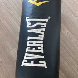 Everlast Punching-bag + Gloves