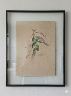 Pencil Drawing "Olive " 11x14"