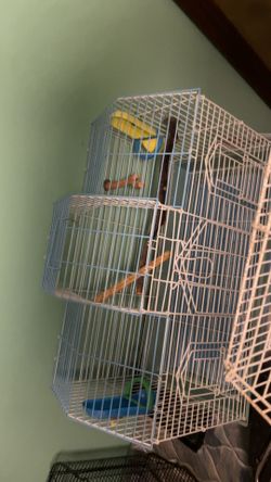 parrot cages 