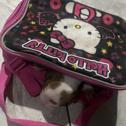 Hello Kitty Lunchbox