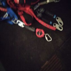 Safety  Belts