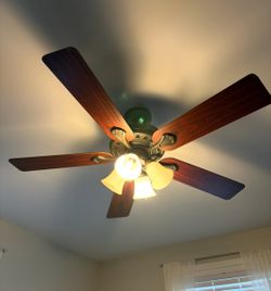 Ceiling fan