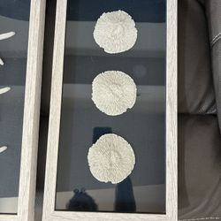 Home Good Navy Sea Shells Art Pictures 