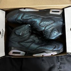 Jordan Retro 6 All-Star Chameleon 