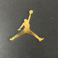 Jordan 13 Retro (PS) 