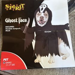 Small Dog Costume 