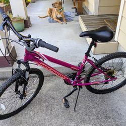 Kent Shockpoint Bike 24"