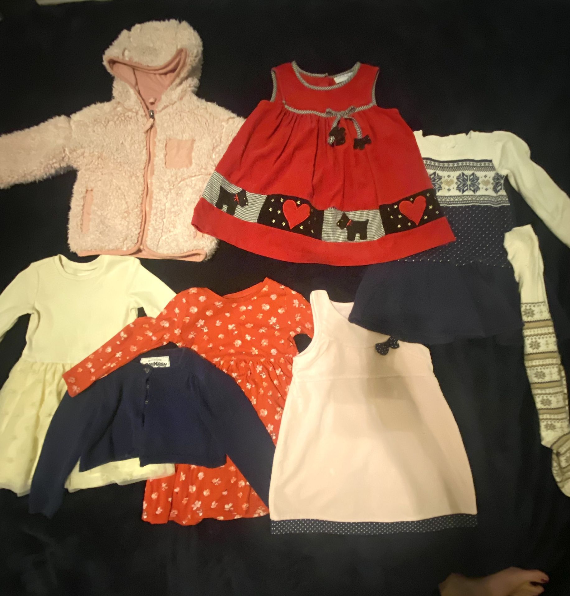 Winter Clothing Lot - Toddler Girl 3T 