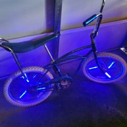 Vintage Schwinn