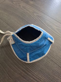 Dog/ cat recovery collar