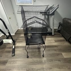 Bird Cage 