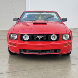 2006 Ford Mustang