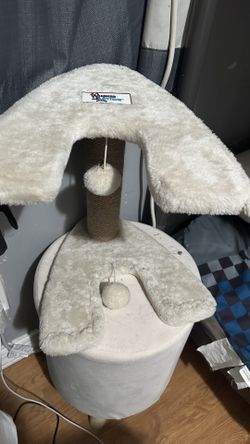 Cat Scratch And Play Stand