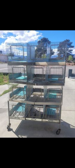 Rabbit cages