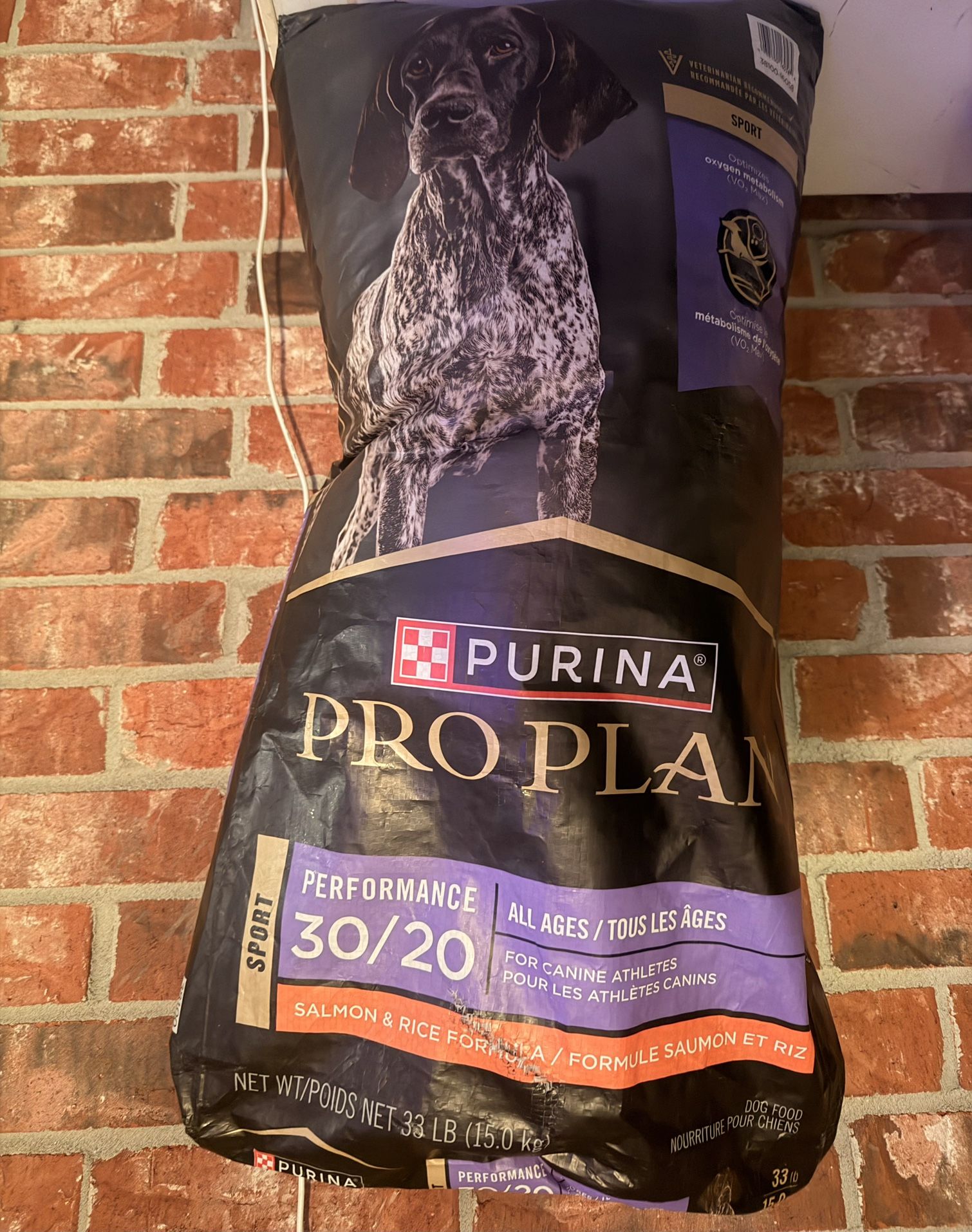 Big boy bag of dog food