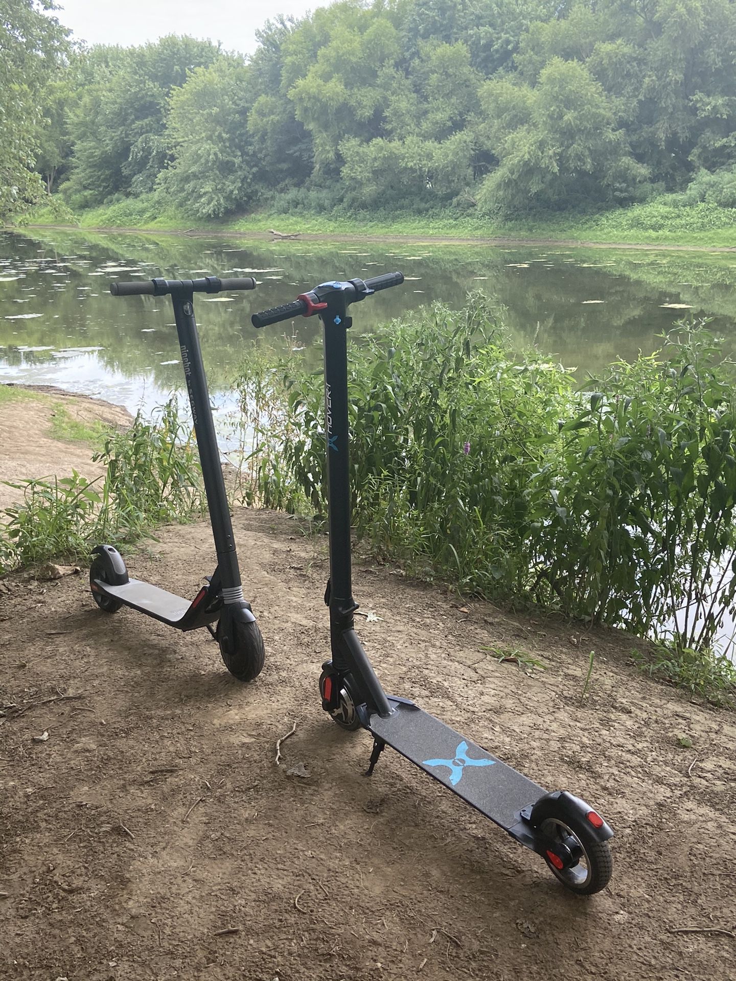 Adult Electric scooters